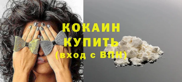 дживик Няндома