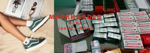 дживик Няндома